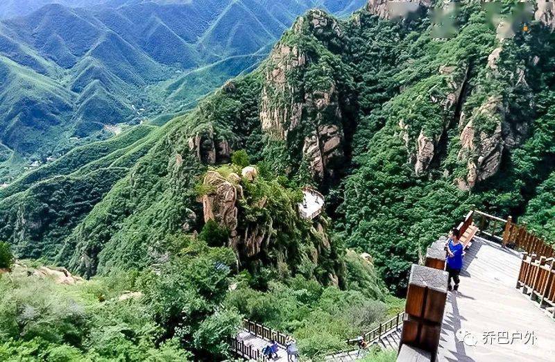 日本腾素片的作用与正确服用方法深度解读 日本腾素片的作用与正确服用方法深度解读