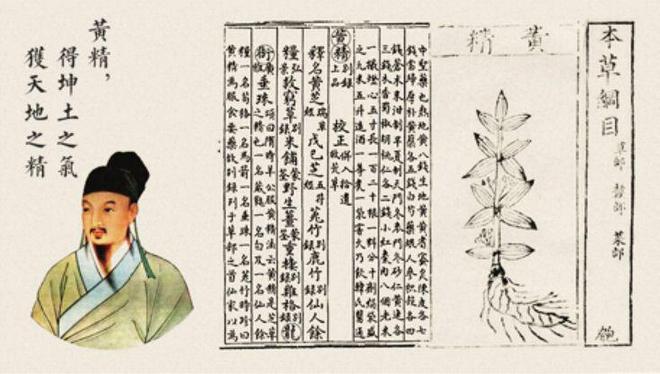 日本腾素真能补肾壮阳？新手必看的功效真相大揭秘